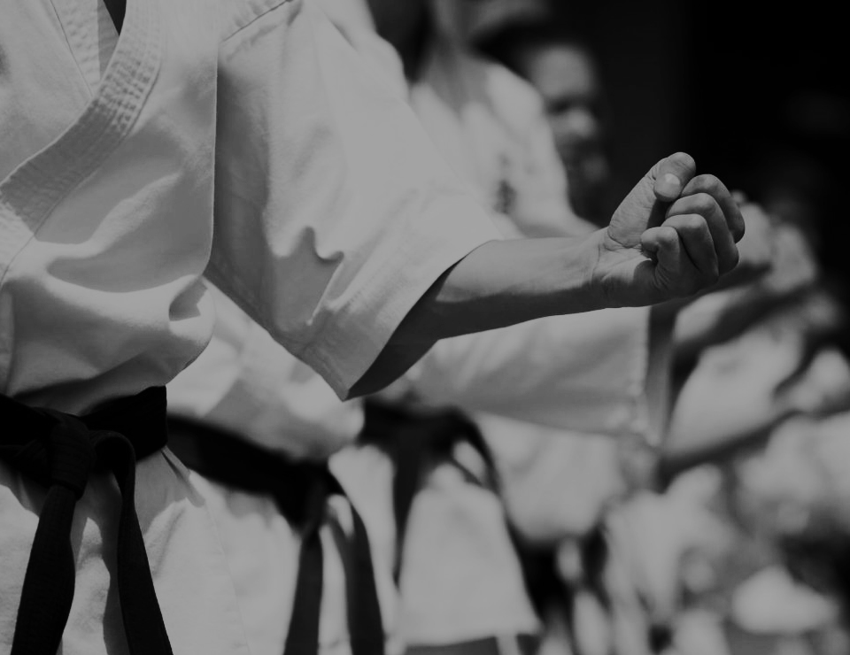 Découvrez le Karate Traditionnel Shorin-Ryu d'Okinawa, plein contact